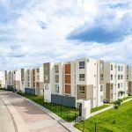 Adriana Montiel aborda temas de bienestar con diputados de Morena 